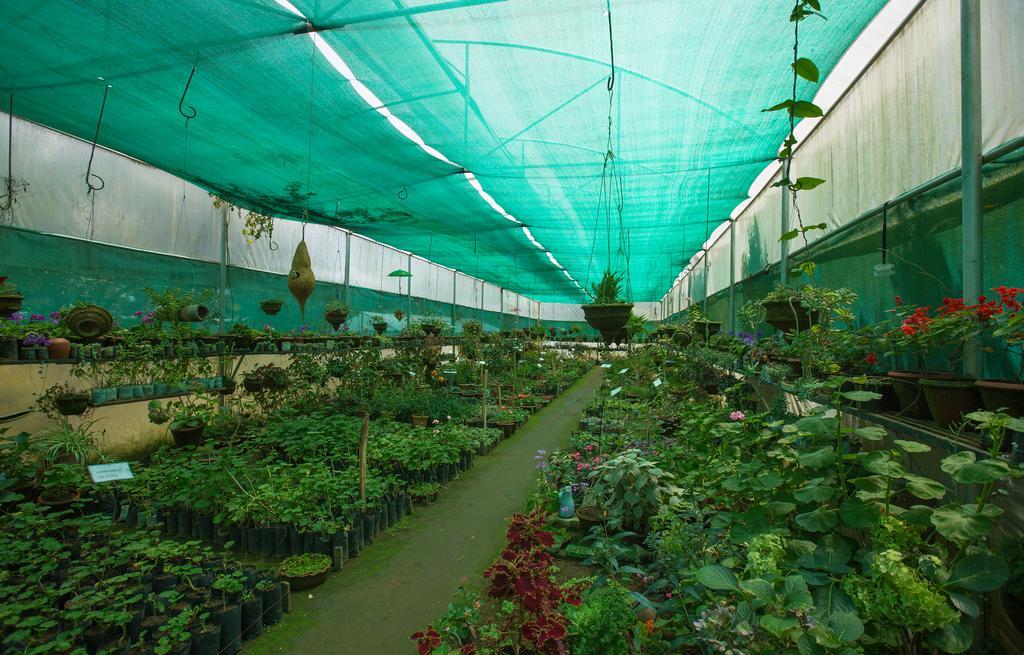 Pine Borough Inn Kodaikanal Εξωτερικό φωτογραφία